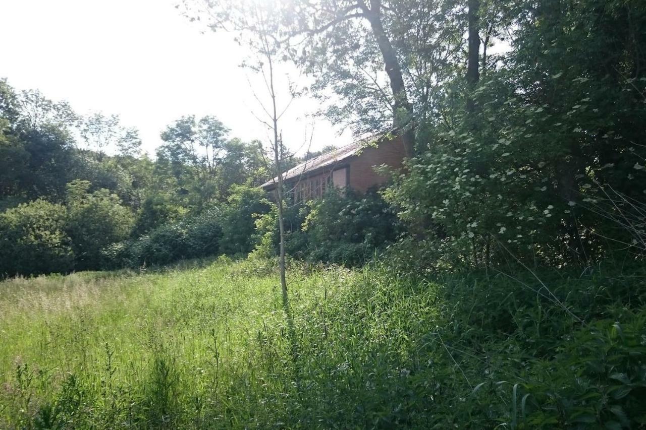Chalet Forsthof Everstorf グレーヴェスミューレン エクステリア 写真